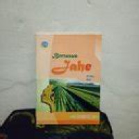 Image of Bertanam Jahe