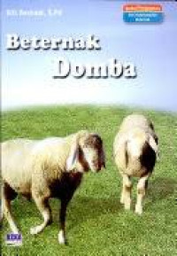 Image of Beternak Domba